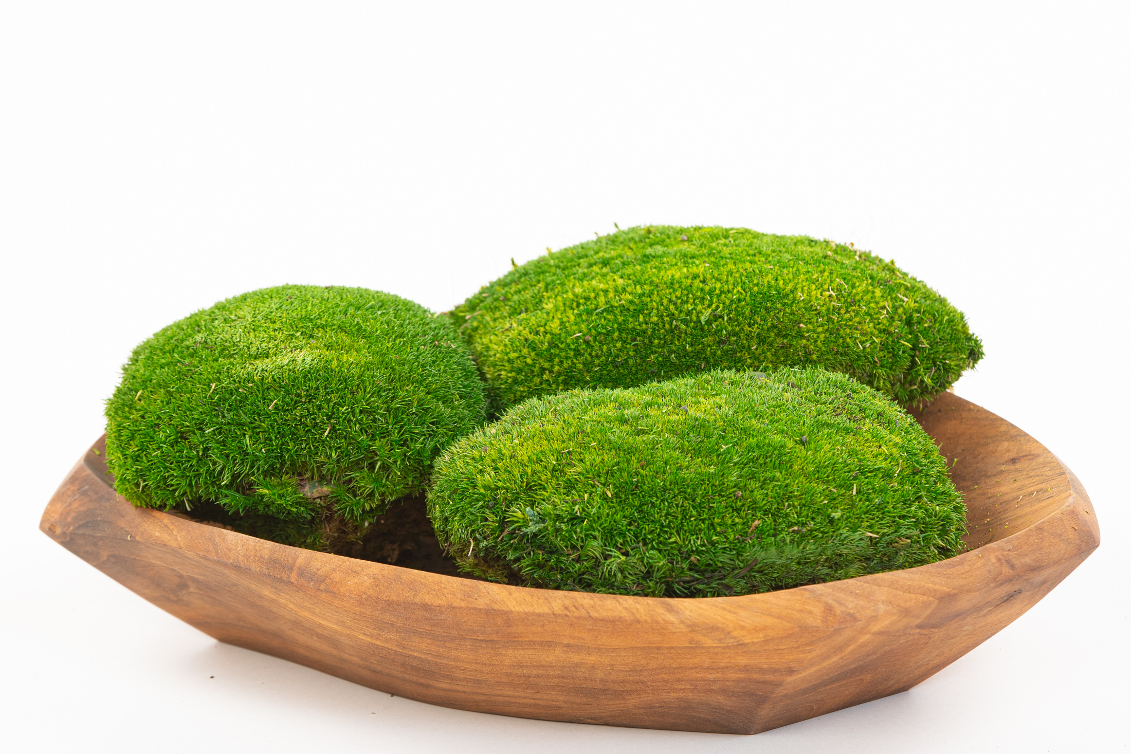 Ball-moss-detail2